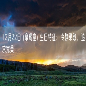 12月22日 (摩羯座) 生日特征：冷静果敢，追求完美
