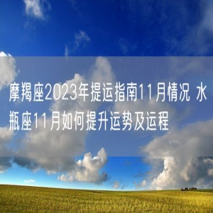 摩羯座2023年提运指南11月情况 水瓶座11月如何提升运势及运程
