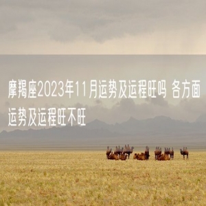 摩羯座2023年11月运势及运程旺吗 各方面运势及运程旺不旺