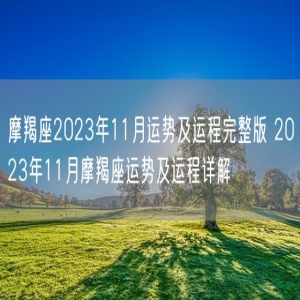 摩羯座2023年11月运势及运程完整版 2023年11月摩羯座运势及运程详解