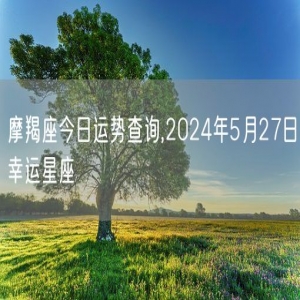 摩羯座今日运势查询,2024年5月27日幸运星座