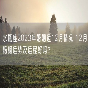 水瓶座2023年婚姻运12月情况 12月婚姻运势及运程好吗？
