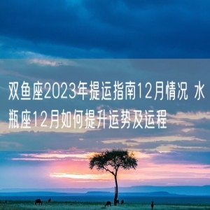 双鱼座2023年提运指南12月情况 水瓶座12月如何提升运势及运程