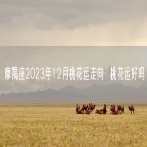摩羯座2023年12月桃花运走向  桃花运好吗