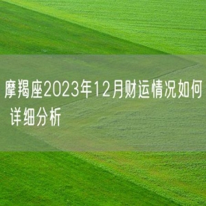 摩羯座2023年12月财运情况如何 详细分析