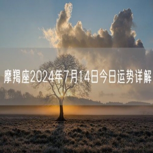 摩羯座2024年7月14日今日运势详解