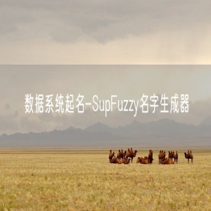 数据系统起名-SupFuzzy名字生成器
