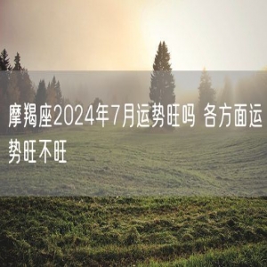 摩羯座2024年7月运势旺吗 各方面运势旺不旺