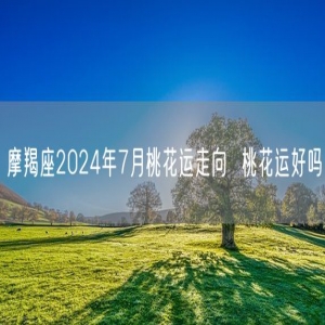 摩羯座2024年7月桃花运走向  桃花运好吗