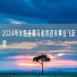 2024年水瓶座属马者将迎来事业飞跃期