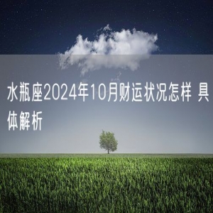水瓶座2024年10月财运状况怎样 具体解析
