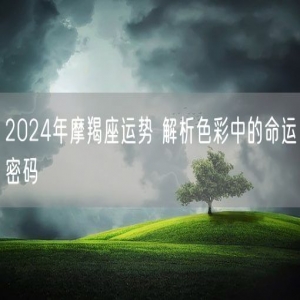 2024年摩羯座运势 解析色彩中的命运密码