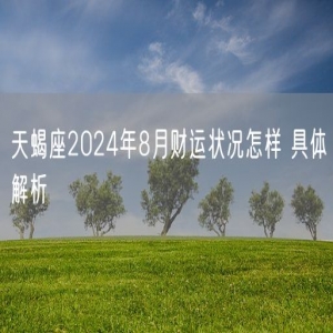 天蝎座2024年8月财运状况怎样 具体解析