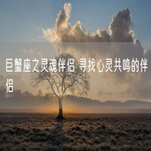 巨蟹座之灵魂伴侣 寻找心灵共鸣的伴侣