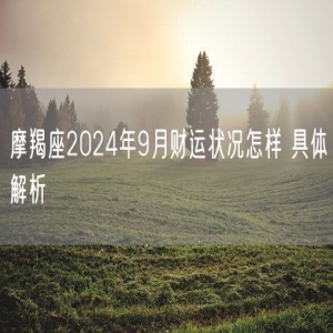 摩羯座2024年9月财运状况怎样 具体解析