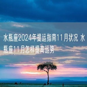 水瓶座2024年提运指南11月状况 水瓶座11月怎样提高运势