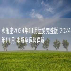 水瓶座2024年11月运势完整版 2024年11月 水瓶座运势详解