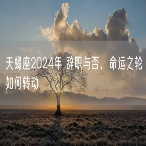 天蝎座2024年 辞职与否，命运之轮如何转动