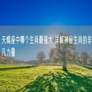 天蝎座中哪个生肖最强大 详解神秘生肖的非凡力量