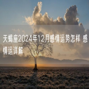 天蝎座2024年12月感情运势怎样 感情运详解