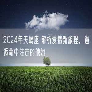 2024年天蝎座 解析爱情新旅程，邂逅命中注定的他她
