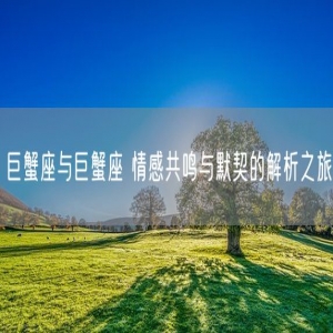 巨蟹座与巨蟹座 情感共鸣与默契的解析之旅