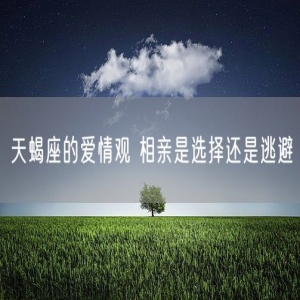 天蝎座的爱情观 相亲是选择还是逃避