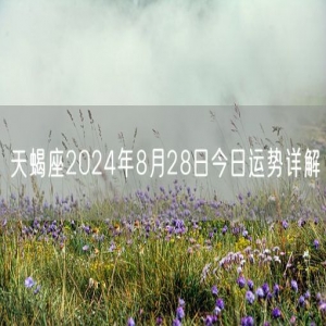 天蝎座2024年8月28日今日运势详解
