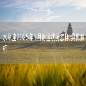 水瓶座2025年1月财运状况怎样 具体解析