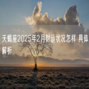 天蝎座2025年2月财运状况怎样 具体解析