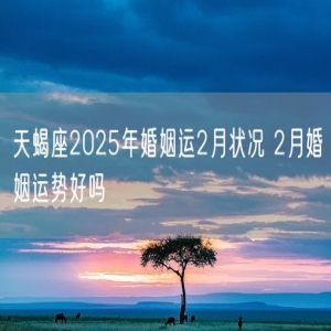 天蝎座2025年婚姻运2月状况 2月婚姻运势好吗