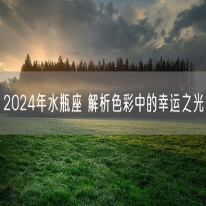 2024年水瓶座 解析色彩中的幸运之光