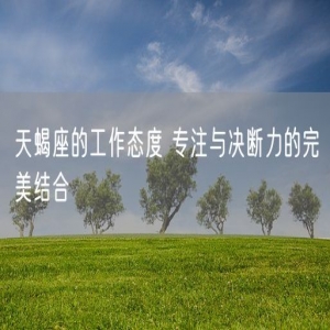 天蝎座的工作态度 专注与决断力的完美结合