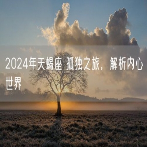 2024年天蝎座 孤独之旅，解析内心世界