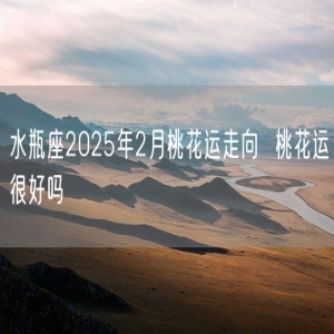 水瓶座2025年2月桃花运走向  桃花运很好吗