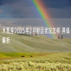 水瓶座2025年2月财运状况怎样 具体解析