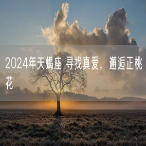 2024年天蝎座 寻找真爱，邂逅正桃花