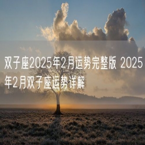 双子座2025年2月运势完整版 2025年2月双子座运势详解