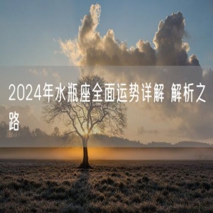 2024年水瓶座全面运势详解 解析之路