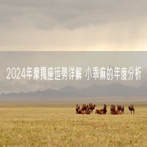 2024年摩羯座运势详解 小乖麻的年度分析