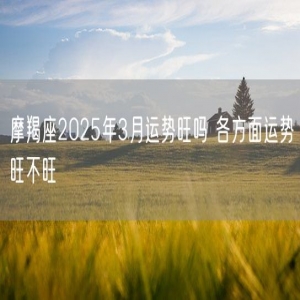 摩羯座2025年3月运势旺吗 各方面运势旺不旺