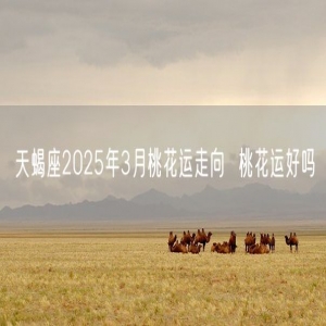 天蝎座2025年3月桃花运走向  桃花运好吗