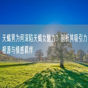 天蝎男为何深陷天蝎女魅力？剖析其吸引力根源与情感羁绊
