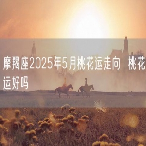 摩羯座2025年5月桃花运走向  桃花运好吗