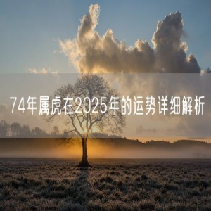 74年属虎在2025年的运势详细解析