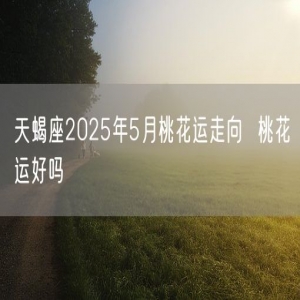 天蝎座2025年5月桃花运走向  桃花运好吗