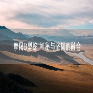 摩羯B型蛇 神秘与坚韧的融合