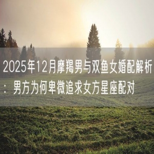 2025年12月摩羯男与双鱼女婚配解析：男方为何卑微追求女方星座配对