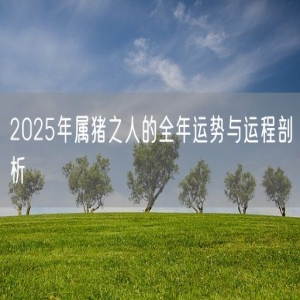 2025年属猪之人的全年运势与运程剖析