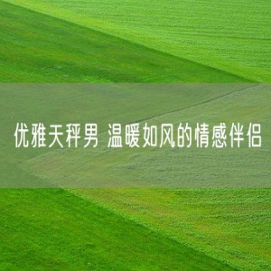 优雅天秤男 温暖如风的情感伴侣